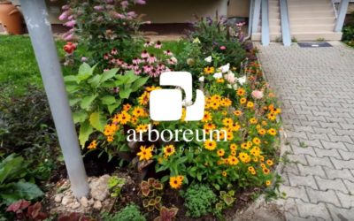 VIDEO: Augustová prechádzka záhradou