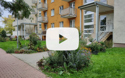VIDEO: Záhrada na konci septembra