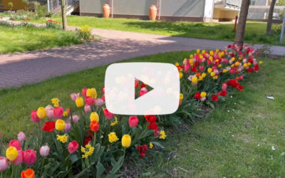 VIDEO: Májová prechádzka jarnou záhradou